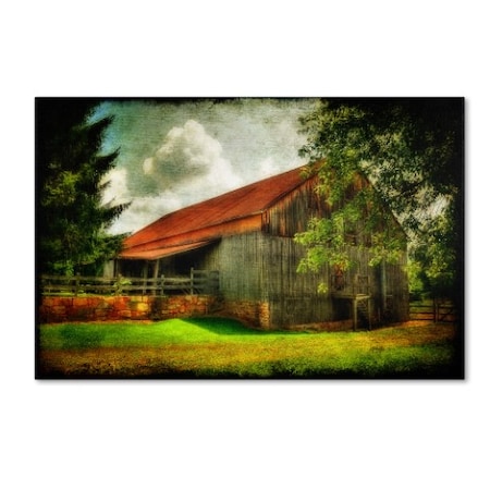Lois Bryan 'Our Old Barn' Canvas Art,30x47